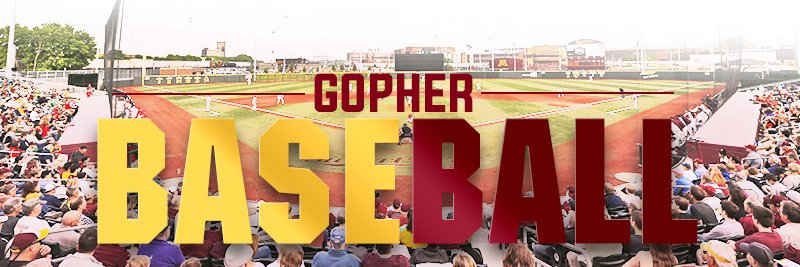 Gopher Baseball Camps's banner