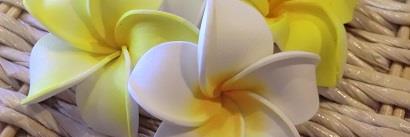 bali_walker's profile banner image
