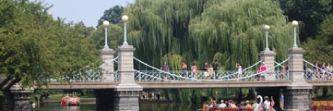 Andrew Caplan banner