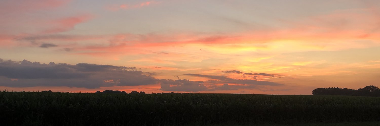 GucciLawnMower's profile banner image