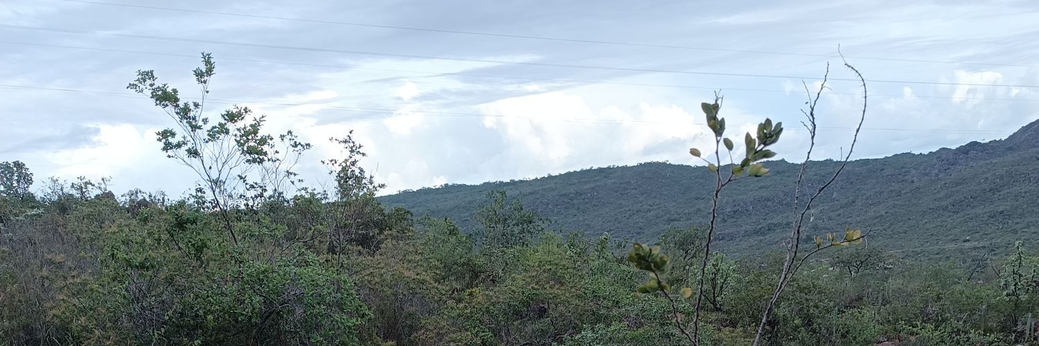 NanMunizz's profile banner image