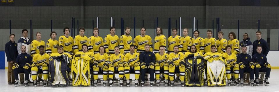 goaliepro33's profile banner image
