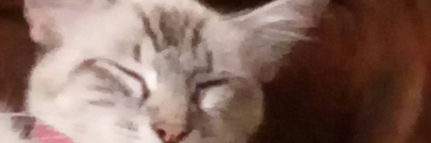 madeuzz's profile banner image