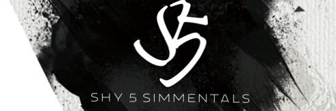 BeefWithSyd's profile banner image