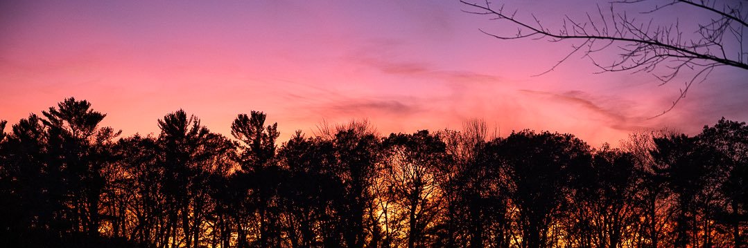 pishodonnell's profile banner image