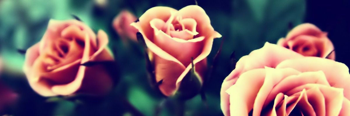 Pami456's profile banner image
