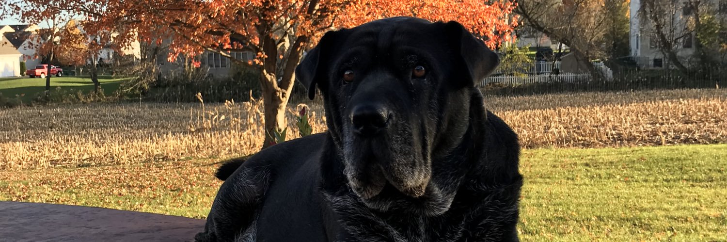 jjdegs14's profile banner image