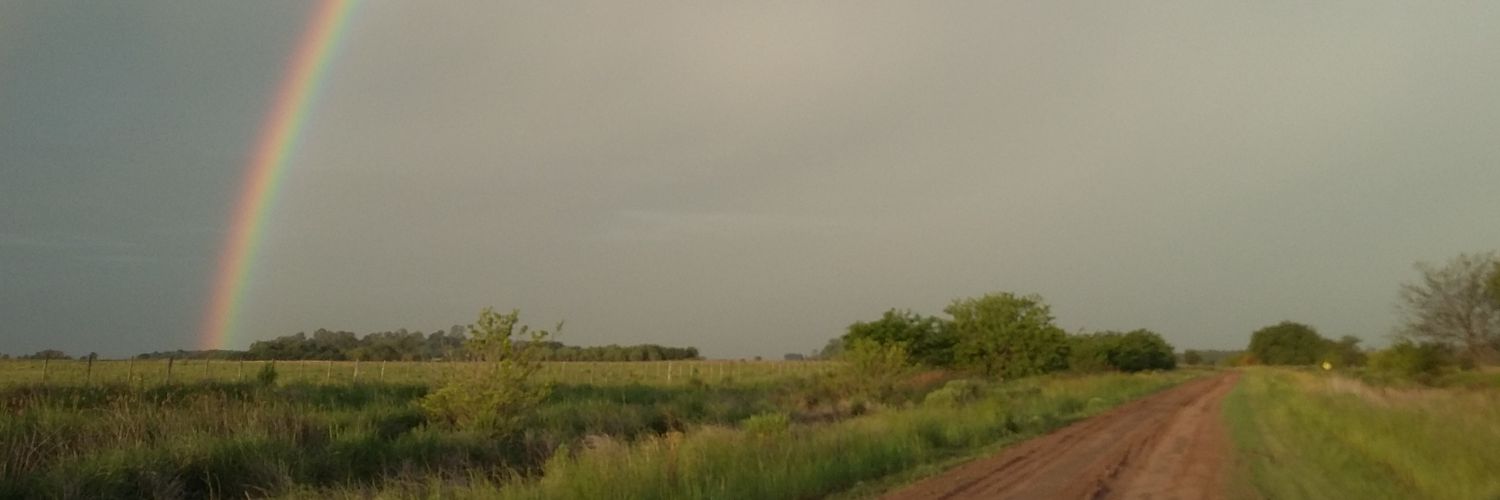 Landaburumarce's profile banner image