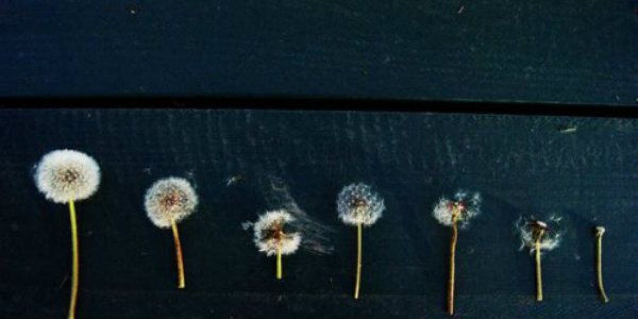 LindsayNeck's profile banner image