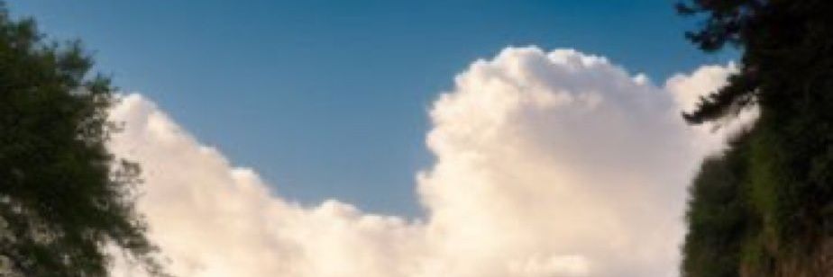 moon_yely's profile banner image