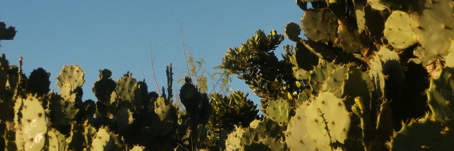 tblacs's profile banner image