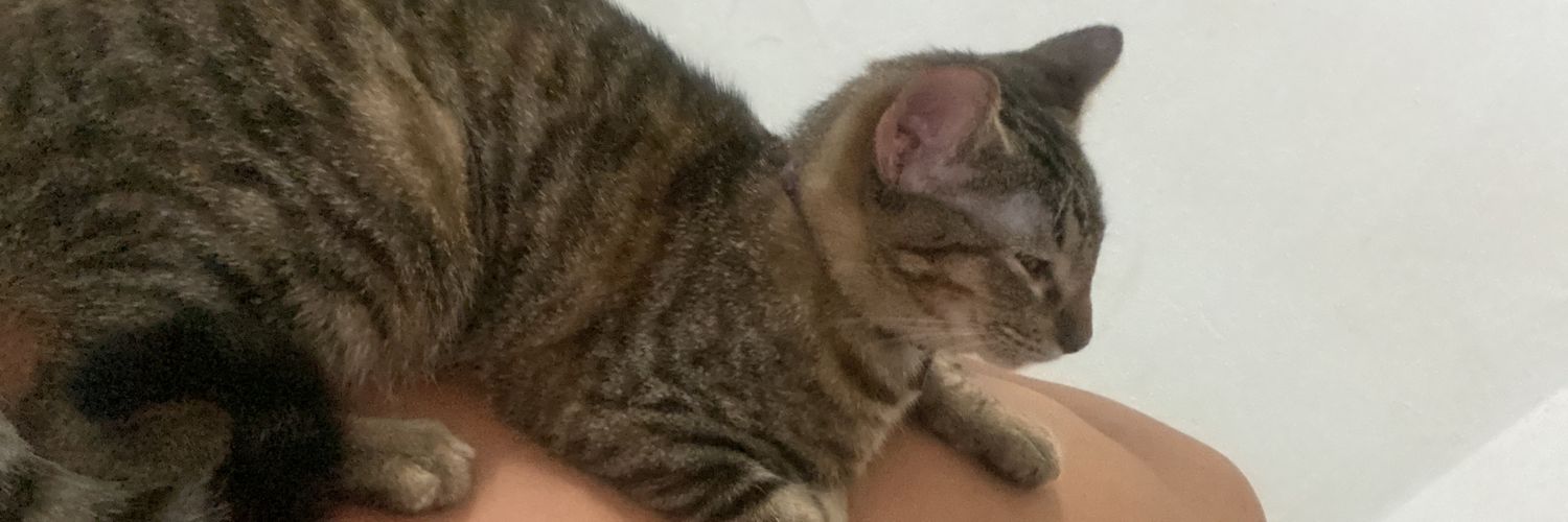 Frae_lo's profile banner image