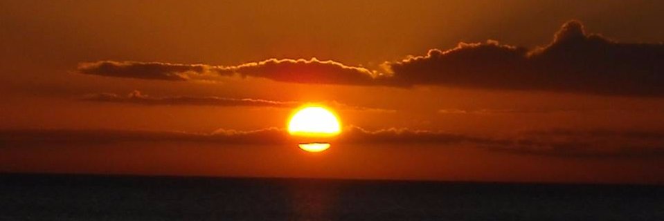 WillaSquire's profile banner image