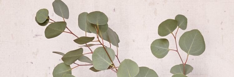 katemoneymaker's profile banner image