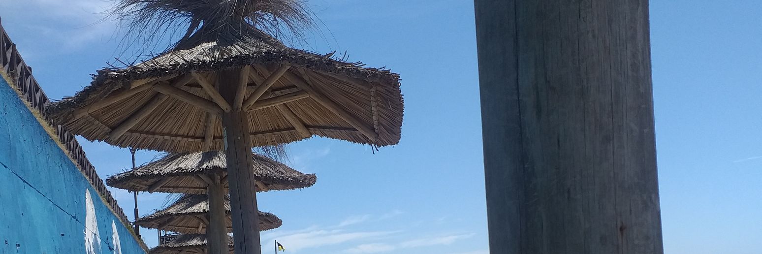 cochenegro's profile banner image