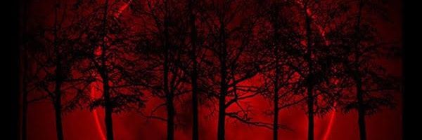 _notvictor_'s profile banner image