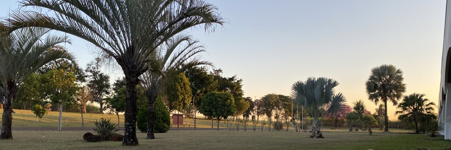 Débora França banner