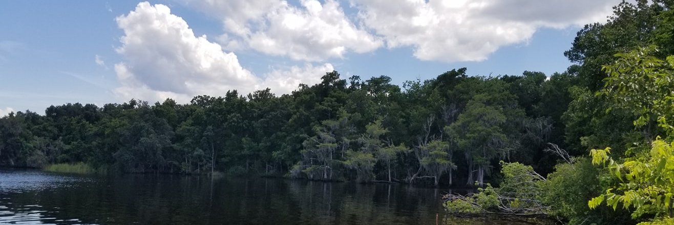 (((Mazeltov Cocktail))) banner