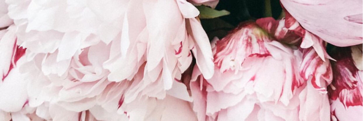 YoshiDebbi's profile banner image