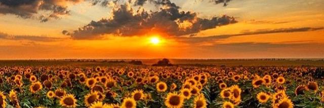 nic_abreu33's profile banner image