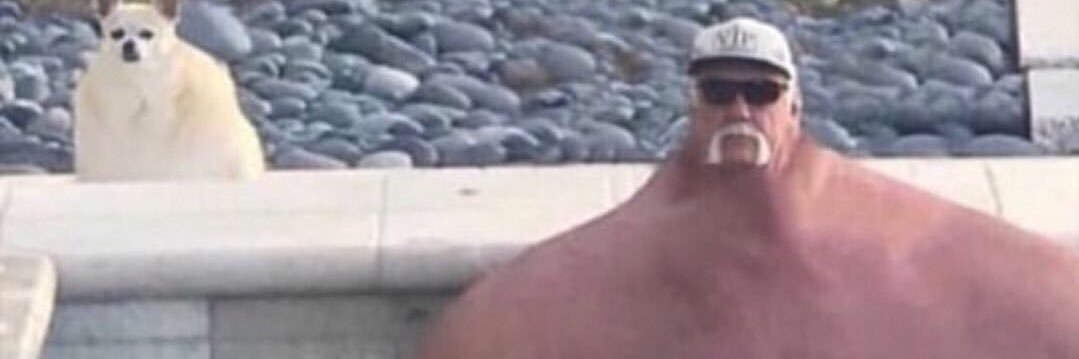 NickMassucco's profile banner image