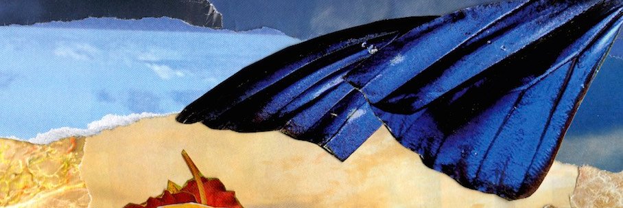 Julie_Bernstein's profile banner image