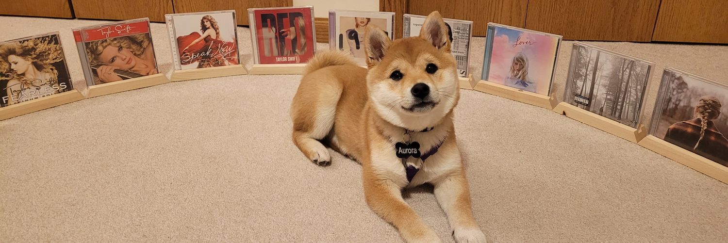 asirb5's profile banner image
