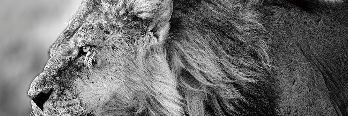 KinggClark's profile banner image