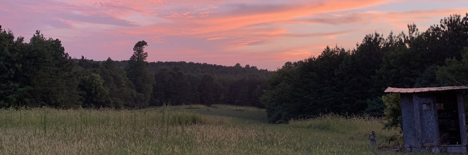 ColemanWillis's profile banner image