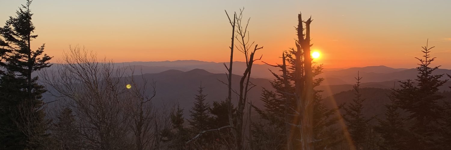 paigeeyo's profile banner image