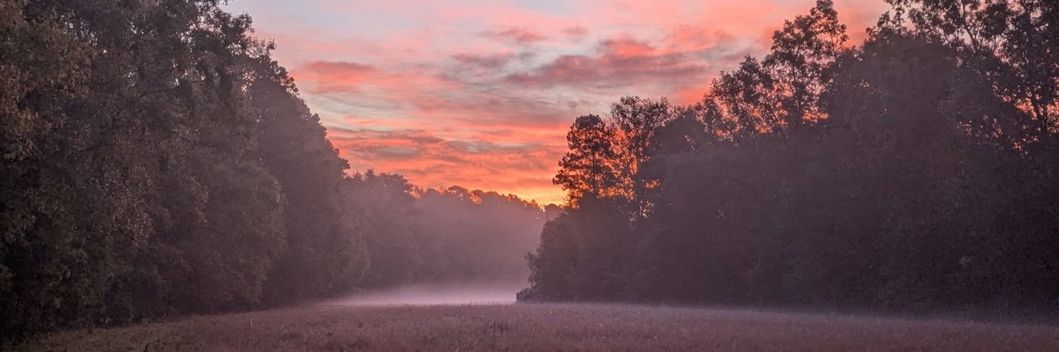 davisnickles's profile banner image