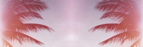 TaylorRaex3's profile banner image