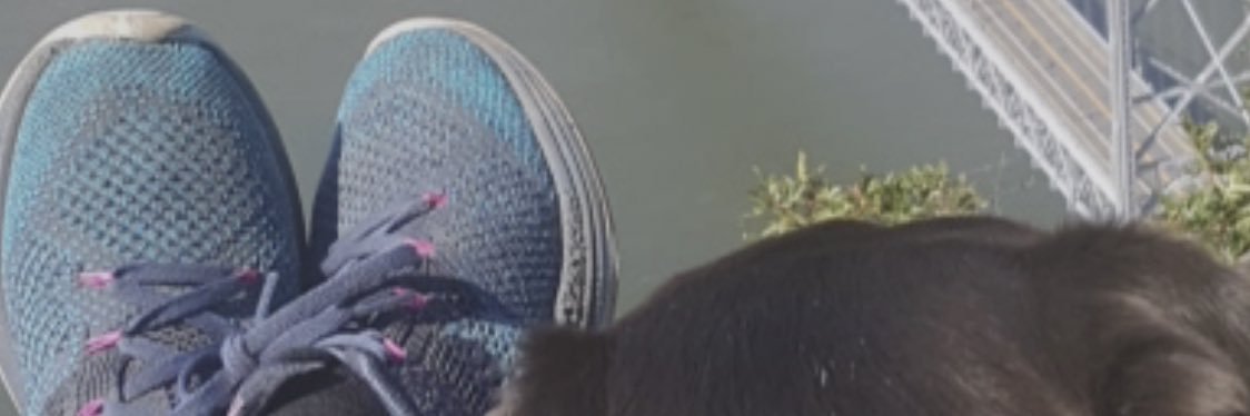 GuevLo's profile banner image