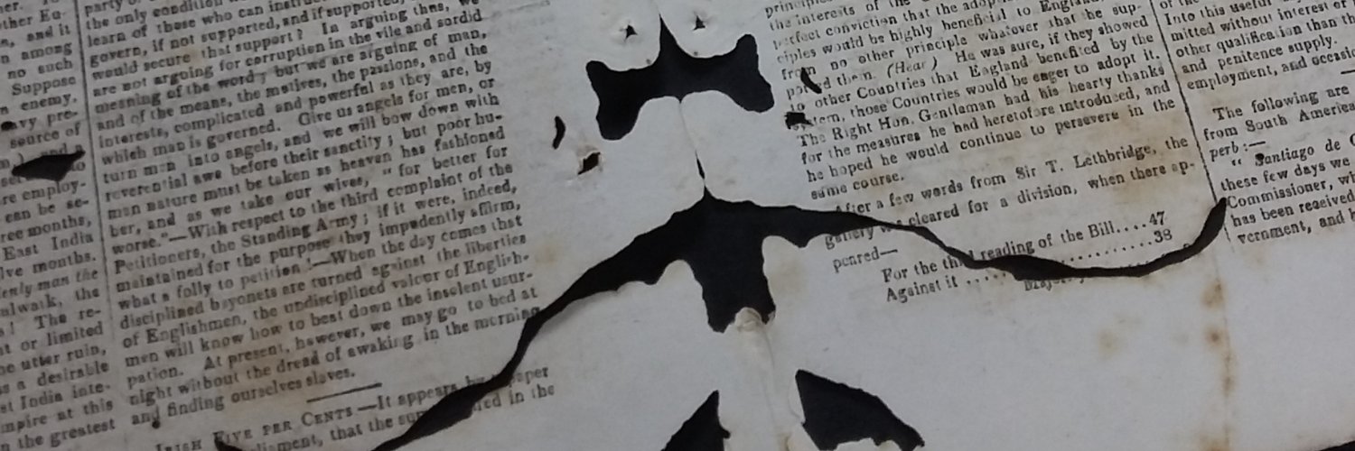 Amalia S. Levi banner