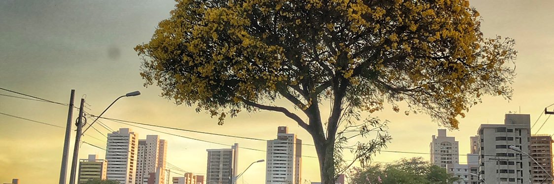 GabrielSdr's profile banner image