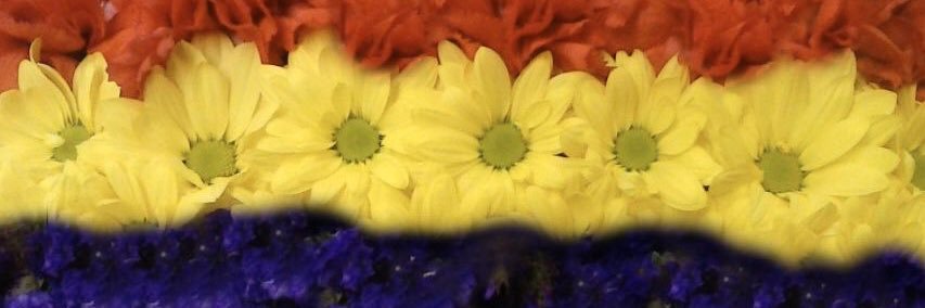 NOEMI ❤️💛💜 banner