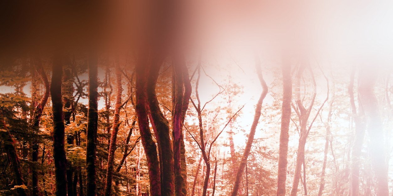 RaphaCristerna's profile banner image