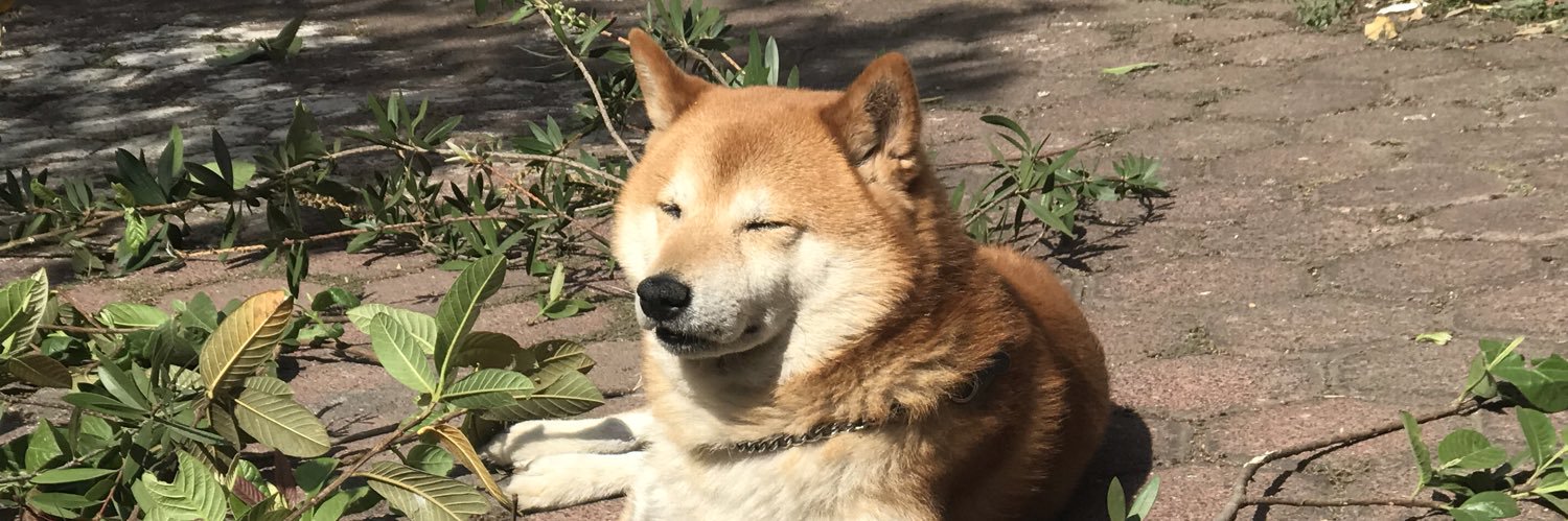 rikrdogam's profile banner image