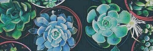 sutifelho's profile banner image