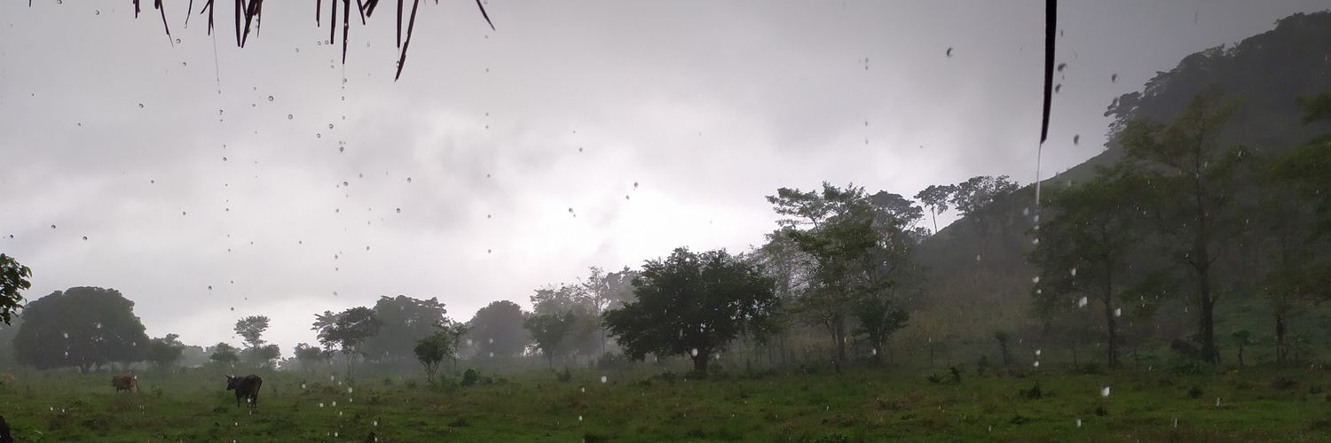 Taserhamg's profile banner image