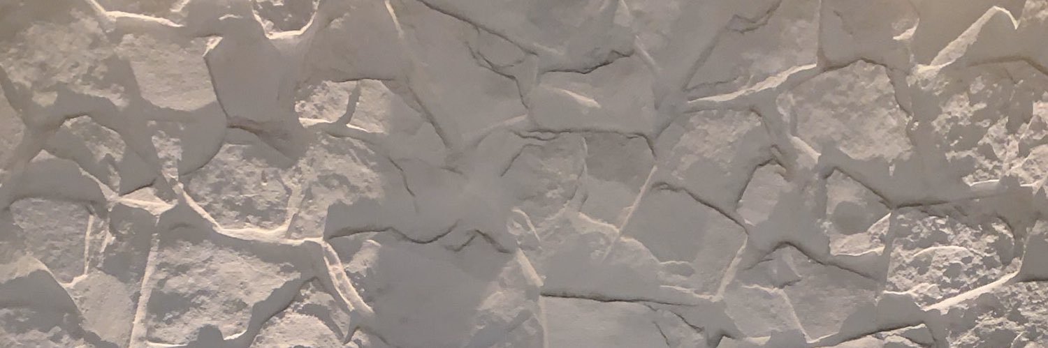 ashtendesi's profile banner image