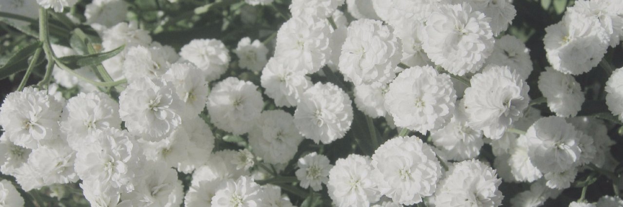 vhs6263's profile banner image