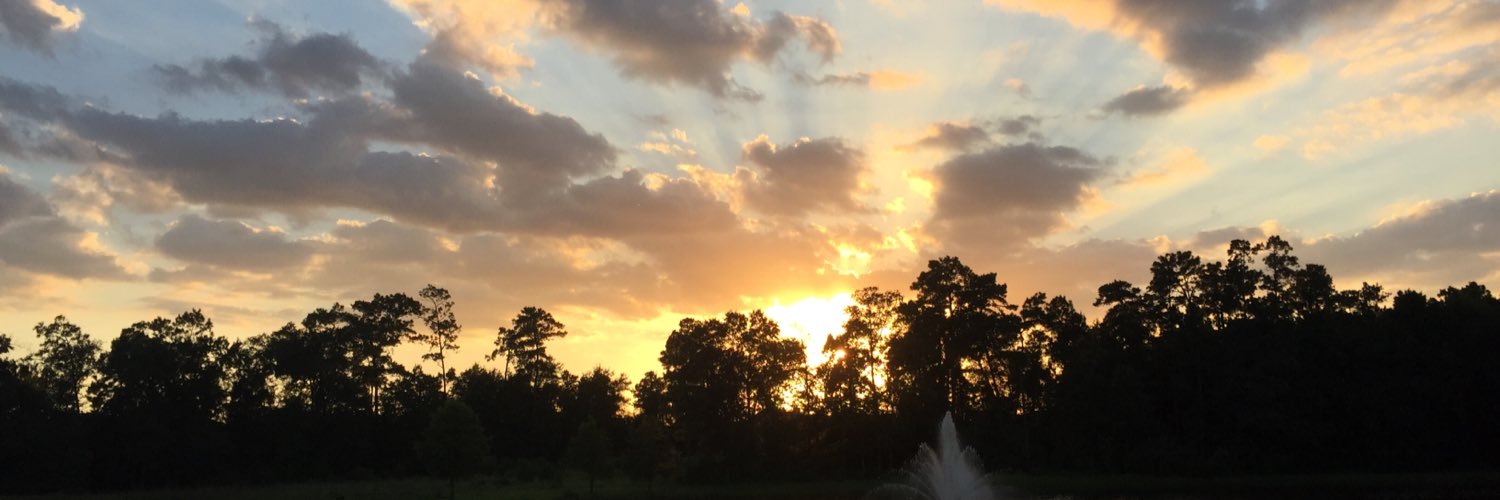 SmelbiDanforth's profile banner image