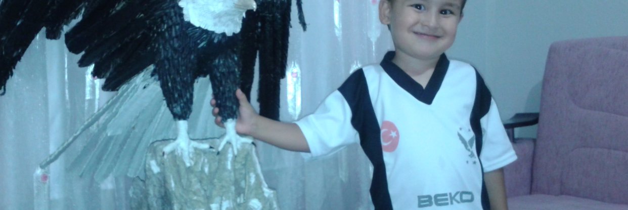 TayfunAzkar's profile banner image