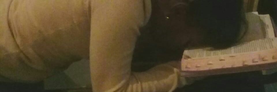 PCarolSantos's profile banner image