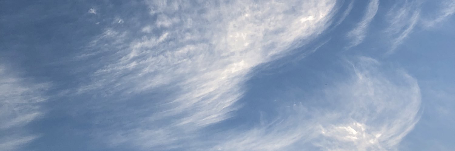 babolatrunner's profile banner image