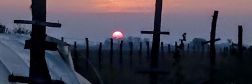 Ѧлексѧндѧр banner