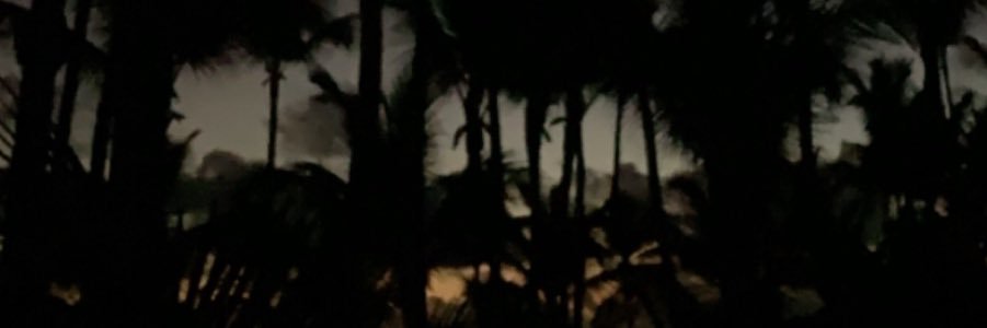 leximhernandez's profile banner image