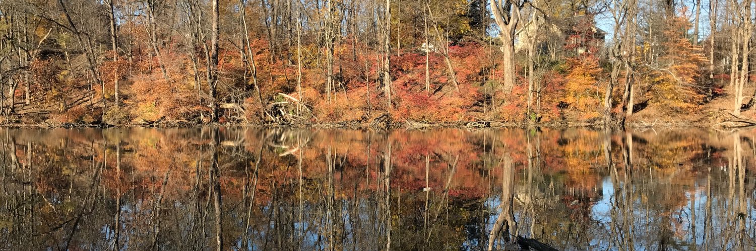 Bilal Piperdi banner