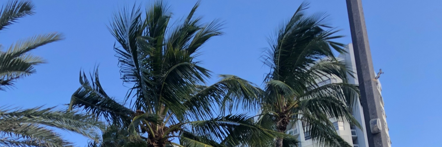 jamiebanda's profile banner image